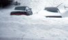 buried cars1.1.jpg