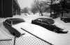 buried cars2.2.jpg