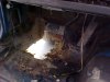 driver hole in floor.jpg