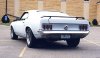 mustang1.jpg