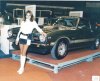 shelby4.jpg