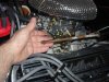 carb-link-2.jpg