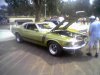 mustanggreen.jpg