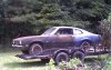 ethel on trailer.JPG