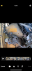 5D7AA2A8-8163-429F-A627-B5A7F1A5789C.png