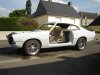 Copie de DSC03329.JPG