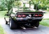 351rear.jpg