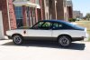 White Stallion 001.jpg