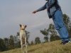 duke savoreando.jpg
