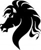 Stallion_Head.jpg