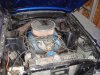 DSC01383.jpg