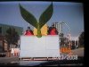 cne parade tail float.jpg