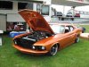 Carlisle.ford.2010 014.jpg