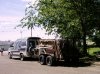 trailor_junk_1.JPG