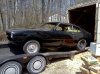 IMG_20110421_135432.jpg