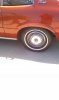 IMAG0690.jpg