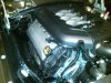 IMG-20111212-00077.jpg