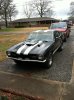 mustang3 025.jpg