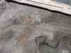 drivers shock mount.jpg