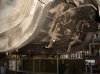 DSC01750.jpg