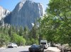 IMG_1415.jpg