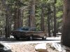 IMG_1314.jpg