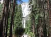 IMG_1460.jpg