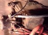 20121219_174213.jpg