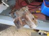 DSC02379.jpg