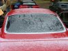 silver springs 2010 050.JPG