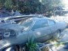 DSC00223.jpg
