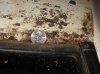 Front roof hole 2.jpg