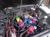 CAM00266.jpg