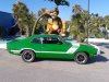Monkeying Around.jpg