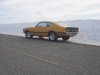 tn_maverick 0221.jpg
