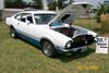 100_0681_original.jpg