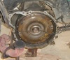 s4200019.jpg