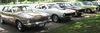 roundup_2010_11.jpg