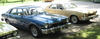roundup_2010_12.jpg