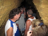 roundup_2010_24.jpg