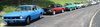 roundup_2010_35.jpg