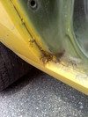 mav_photos_029.jpg