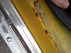 mav_photos_020.jpg