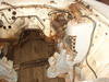 maverick_sprint_003_original.jpg