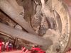 2013-03-20_10.46.50_original.jpg