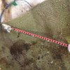 075.JPG