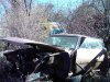 WP_000716.jpg