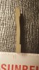 20160709_175812.jpg
