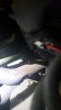 20161121_074725.jpg