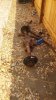 20170901_130010.jpg